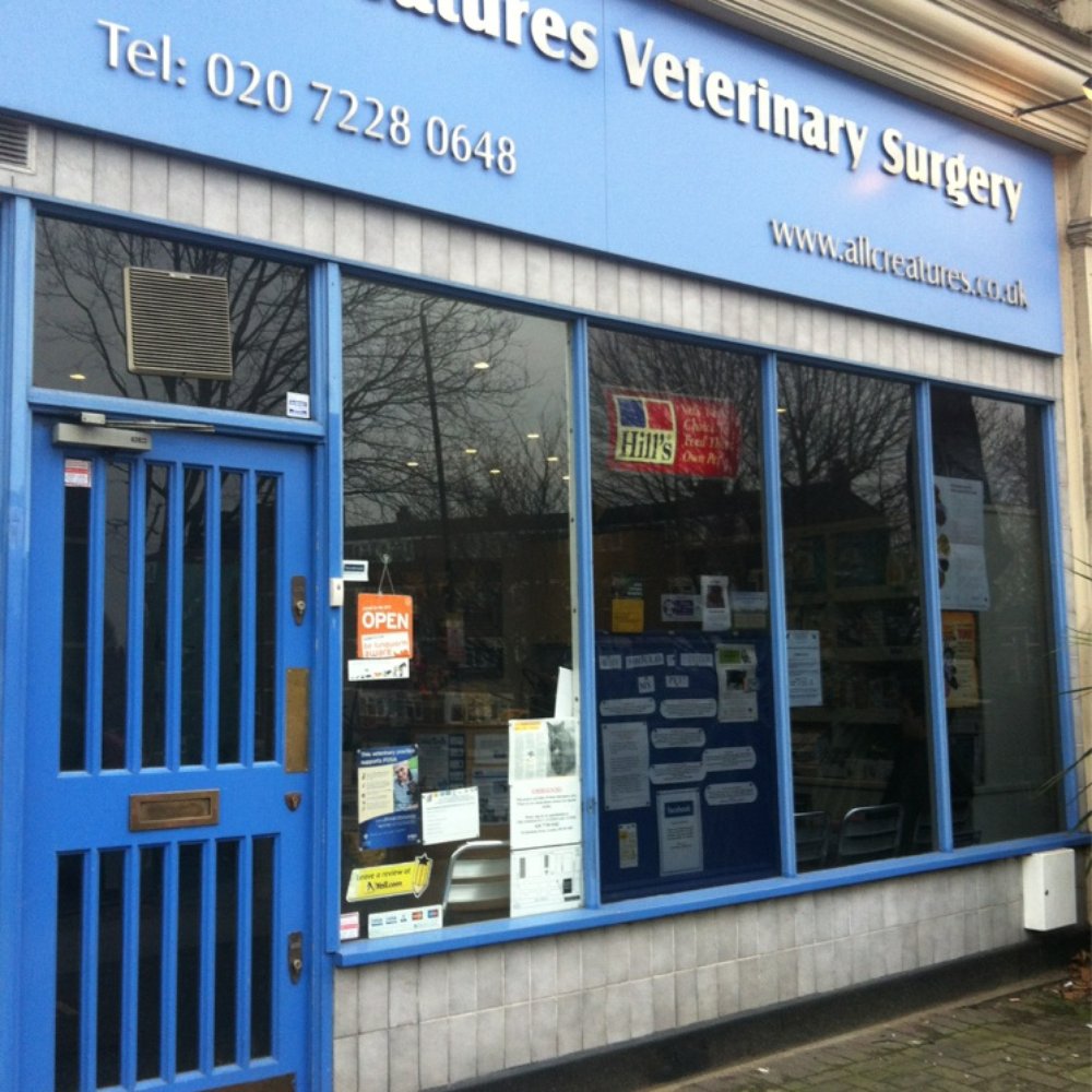 All Creatures Veterinary Surgery - Veterinarians Near Me - London, XGL