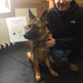 The Right Paw - Pet Training Near Me - Princeton, Massachusetts The Right Paw - Pet Training Near Me - Princeton, Massachusetts