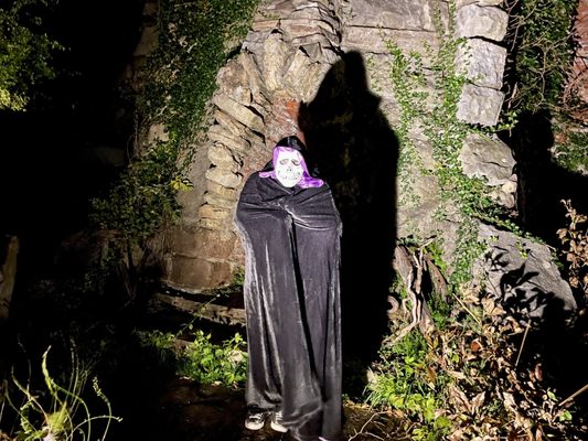 Wing's Castle by null