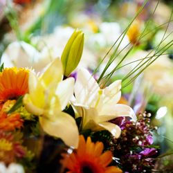 Country Grocer - We source local as much as possible!