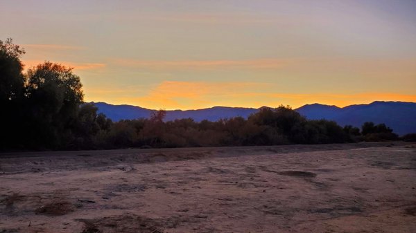 Furnace Creek Campground by null