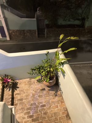 Cruz Bay Boutique Hotel by null