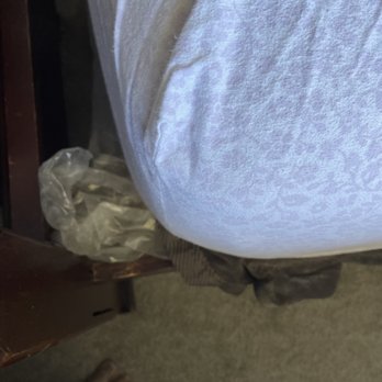 Athena's Movers - Movers Near Me - Redlands, California