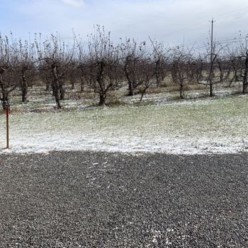BlackBird Cider Works - Cideries Near Me - Barker, New York