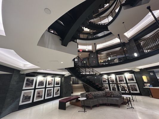 The Octagon by null