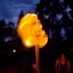 Riverside Homestays - Making smores