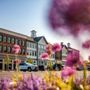 Photo of Darien Commons