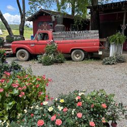 Darnell Farms