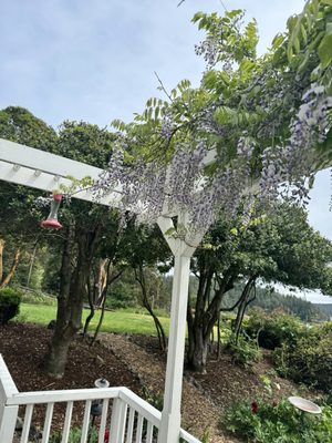 Orcas Hotel Cafe by null