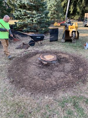 WOODPECKER TREE SERVICE - Updated January 2025 - 77 Photos - 5829