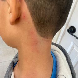 Great Clips - Rosie at Kernan square treated my kid very rough and without care. She even tried to cover up all the scratches with powder.