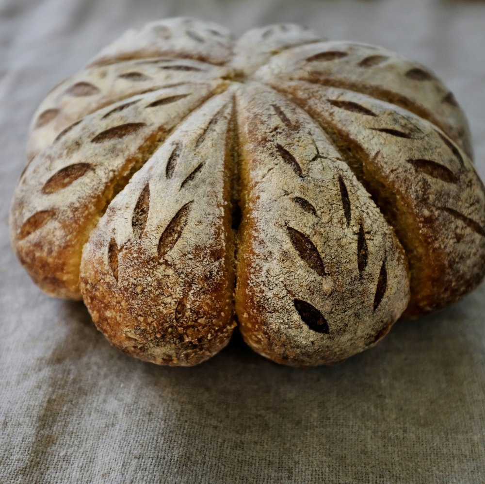 MANZANITA BAKEHOUSE 23 Photos Sacramento, CA Yelp