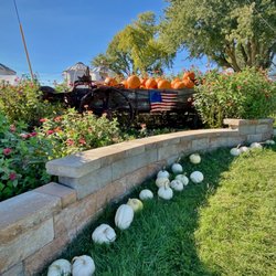 Pumpkin's Galore