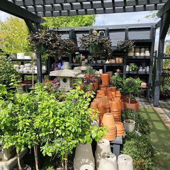 Meeting Green - Nurseries & Gardening Near Me - Charleston, South Carolina Meeting Green - Nurseries & Gardening Near Me - Charleston, South Carolina
