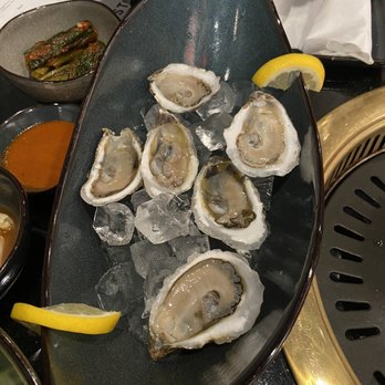 Honest Grill - Oysters. I do not recommend - Barbeque Near Me - Centreville, Virginia