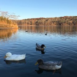 Lake Zwerner