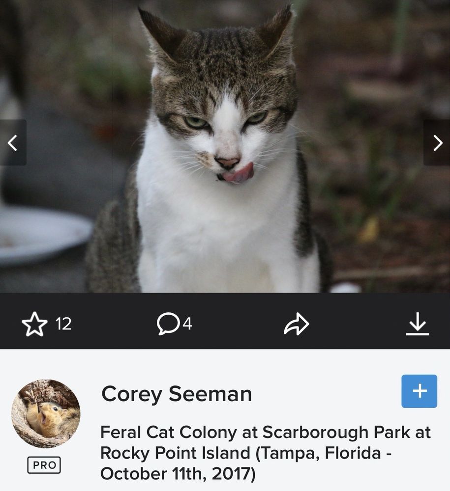 Scarborough Park Image
