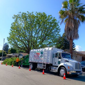 Green View Tree Service - Tree Services Near Me Green View Tree Service - Tree Services Near Me
