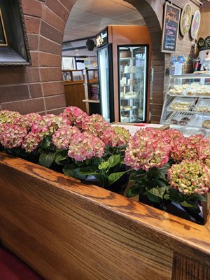 Heidi's Of Gresham by null