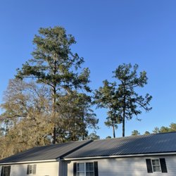 Parker’s Tree Service - Large pines to be removed and oak to be trimmed.