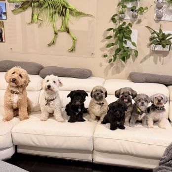 PetSmart Veterinary Services - Veterinarians Near Me - Huntington Beach, California PetSmart Veterinary Services - Veterinarians Near Me - Huntington Beach, California
