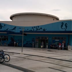 Sealife