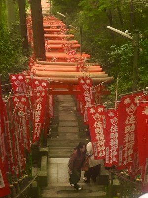 Sasuke Inari Shrine by null