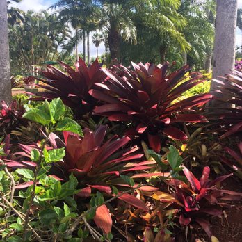 E Noa Tours - Tours Near Me - Honolulu, Hawaii