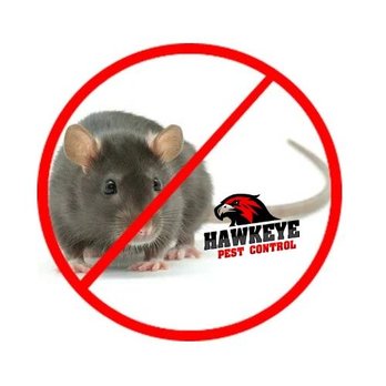 Hawkeye Pest Control - At Hawkeye Pest Control, your family's peace of mind is important to us. Rat and mouse infiltration of a home or business is frightening and - Pest Control Near Me