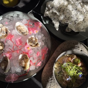 SAGO - hamachi ceviche and oysters - Cocktail Bars Near Me - Encinitas, California SAGO - hamachi ceviche and oysters - Cocktail Bars Near Me - Encinitas, California