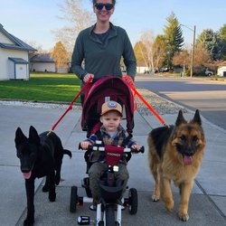 K9 Country Club Pet Center