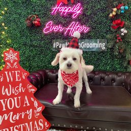 Fresh and clean for the holidays