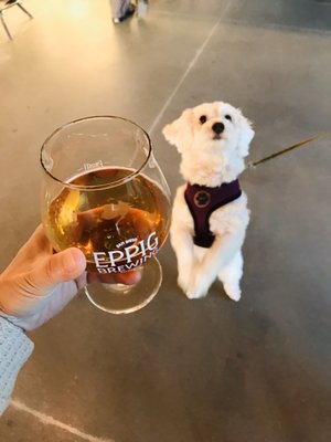 The Lost Abbey Brewing Co. by null