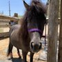 Photo of Hitching Post Ranch