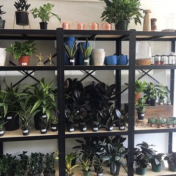Plantstay - Nurseries & Gardening Near Me - Gainesville, Florida Plantstay - Nurseries & Gardening Near Me - Gainesville, Florida