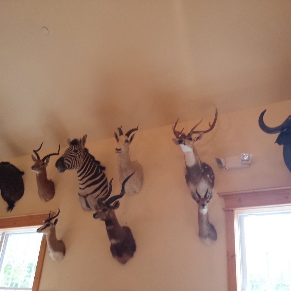 Pub 199 - More animals! - Steakhouses Near Me - Mount Arlington, New Jersey Pub 199 - More animals! - Steakhouses Near Me - Mount Arlington, New Jersey