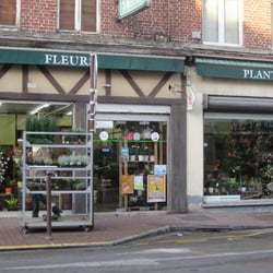 Fleuride