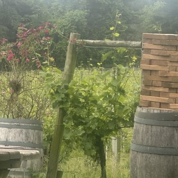 Elk Run Vineyards - Wineries Near Me - Mt Airy, Maryland Elk Run Vineyards - Wineries Near Me - Mt Airy, Maryland