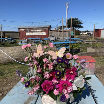 The Flower Cottage - Valentine's Day flowers delivered 2/14 to our office in Sunnyvale, this picture take 2/22 camping. They still look good today 2/25 - Florists Near Me - Sunnyvale, California The Flower Cottage - Valentine's Day flowers delivered 2/14 to our office in Sunnyvale, this picture take 2/22 camping. They still look good today 2/25 - Florists Near Me - Sunnyvale, California
