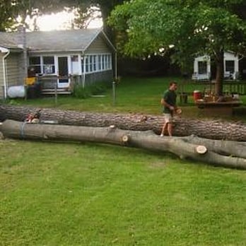 Tri-County Tree Service - Tree Services Near Me Tri-County Tree Service - Tree Services Near Me