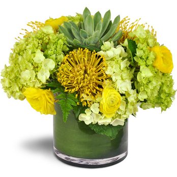 Pembroke Mall Flower Delivery - black iris florist - Florists Near Me - Virginia Beach, Virginia