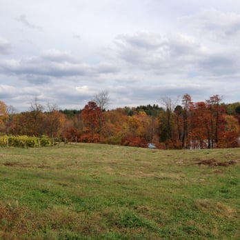 Rose Hill Farm - what you see while you're apple picking! - Fruits & Veggies Near Me - Red Hook, New York Rose Hill Farm - what you see while you're apple picking! - Fruits & Veggies Near Me - Red Hook, New York