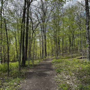 Cherry Hill Nature Preserve - Early May Path - Parks Near Me - Superior Township, Michigan Cherry Hill Nature Preserve - Early May Path - Parks Near Me - Superior Township, Michigan