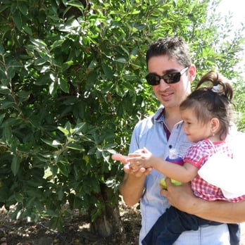 Calico Ranch - Letting my daughter pick an apple - Fruits & Veggies Near Me - Julian, California Calico Ranch - Letting my daughter pick an apple - Fruits & Veggies Near Me - Julian, California