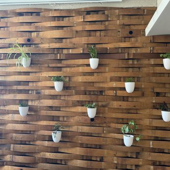 Stonecloud Brewing Company - Stave & plant wall - Breweries Near Me - Oklahoma City, Oklahoma