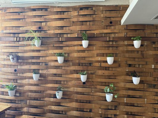 Stonecloud Brewing Company by null