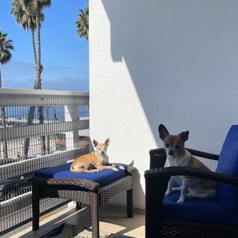 Sea Horse Resort - Hotels Near Me - San Clemente, California Sea Horse Resort - Hotels Near Me - San Clemente, California