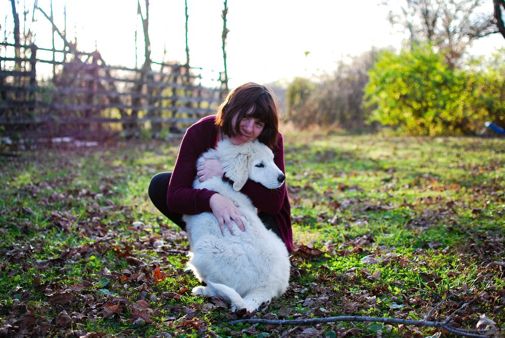 Earthshine Farm - equestrian in Quincy, IN