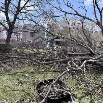 John Demay - Proex Realty Group - Rotted Tree - Real Estate Agents Near Me - Marquette, Michigan John Demay - Proex Realty Group - Rotted Tree - Real Estate Agents Near Me - Marquette, Michigan