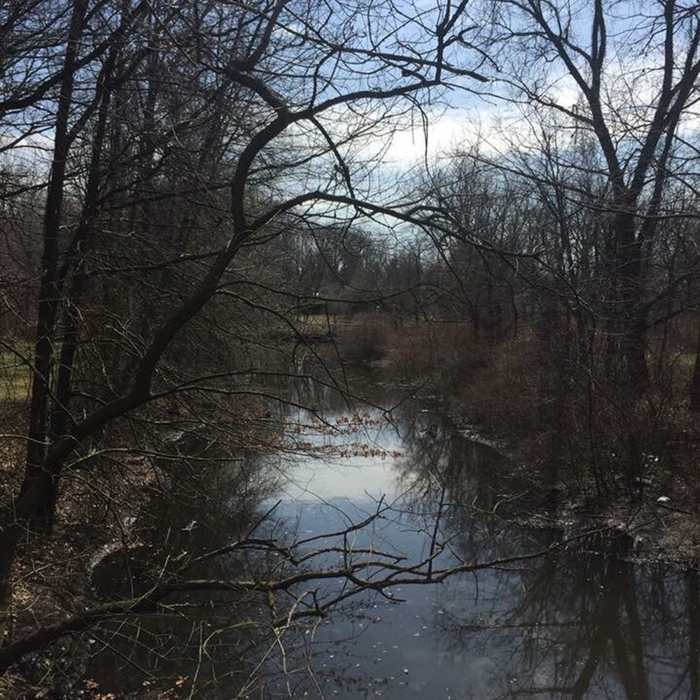Saddle River County Park - Parks Near Me - Saddle Brook, New Jersey